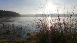 Fewo Kranichsee Wgh - Eibenstock - 2