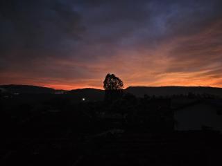 Aranyagiri Farmstay Resort - Kelghar - 7
