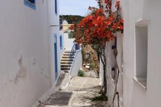 La Maison de Bella - Lefkes - 6
