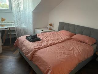 The Bratislava Attic - Bratislava - 5