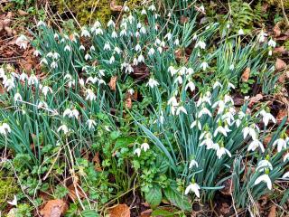 The Cabin In The Woods - Uk49023 - 1