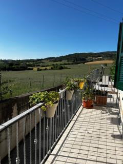 Appartamento con giardino Coppo Sirolo - Sirolo - 5