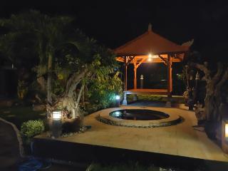 The Sinaba villa - 3