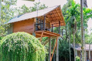 Eco Hotel Black & White - Anuradhapura - Mihintale - 5