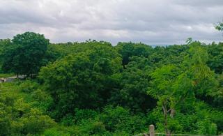 Hampi Anjana home stay - New Hampi - 0
