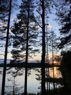 Metsäsydän mökki 3 Vinksinvonksin - 7