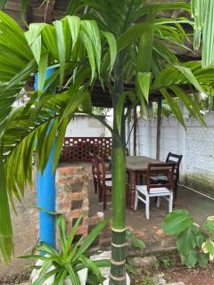 Coral Reef Malpe - Udupi - - 3