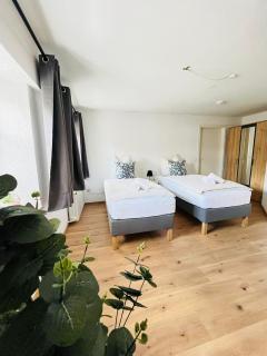 Schwarzwaldnest Donaueschingen - Donaueschingen - 5