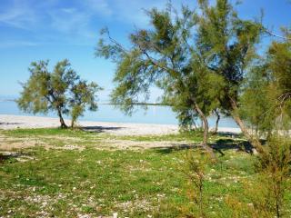 Apartments in Starigrad-Paklenica 35542 - Starigrad-Paklenica - 7