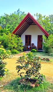 Sigiri Enaya Cottage - 4