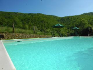 Holiday house overlooking lake near Tuscany - Casella - 8