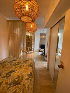 Appartement City Edge en centre-ville de Saint-Denis - Maison Henou - 9