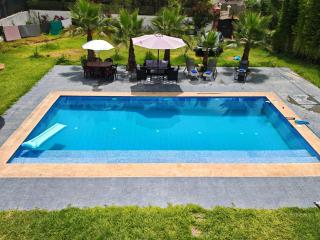Villa Aronora - 3