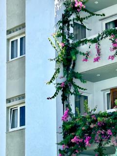 Andromeda Apartments & Studios - Hersonissos - 7