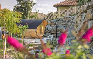 Awesome Home In Stegersbach With Sauna - Stegersbach - 9