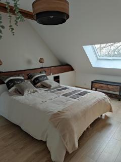 Gîte des Toucanes - Beaumont-Pied-de-Boeuf - 8