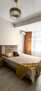Luxury new apartment in the downtown - Bisjkek - 9