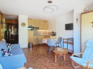 Champs Fleuris CFS7 COSY & VIEW 3 Pers - Châtel - 5