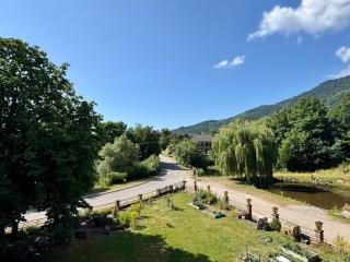 Aux Gîtes de l'Étang - Thannenkirch Bergheim - Thannenkirch - 8