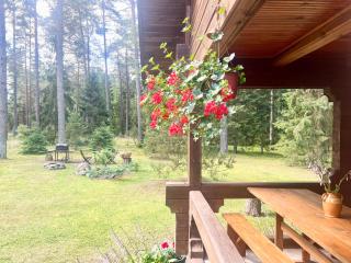 Rojaus Slenis - Druskininkai - 5