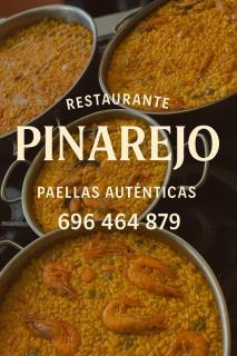 Hostal Restaurante Pinarejo - 8