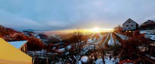 Studio in Novo mesto - dostava - Kranjska Krain 26035 - 1