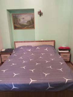 Ani guest house - 5