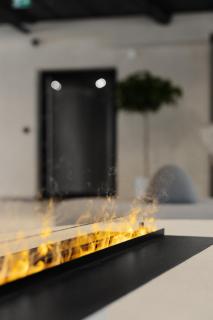 Aparthotel Nemunas - 3