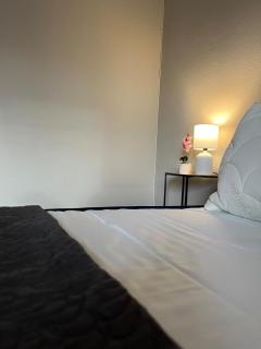 Il Tulipano - Villa con giardino - 3