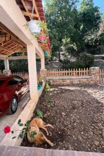 Alex House - Ain Draham - 7