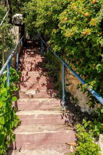 The Zen Suite - Haifa peaceful place - Haifa - 8