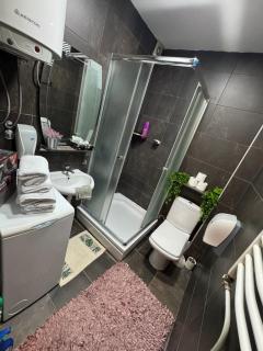 SpaNish apartman 6 - Niš - 6