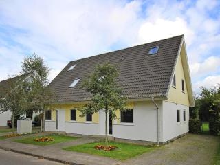 Ferienanlage im Mueritz-Nationalpark in Mirow - Mirow - 0