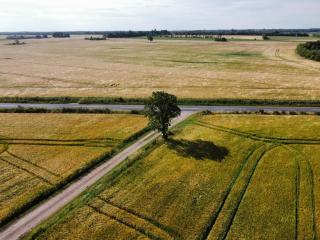 Hyggeligt hus på landet - 7