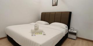 Galaxy Luxury Homestay - 3