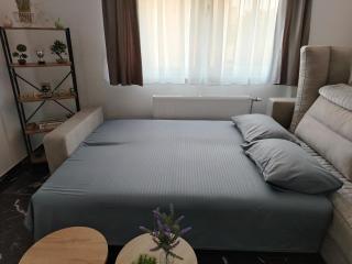 Tara - Novi Sad - 6