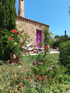 holiday home su Niberalzu - Monti - 9