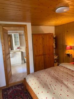 La Chambre Du Bisse - Ayent - 6