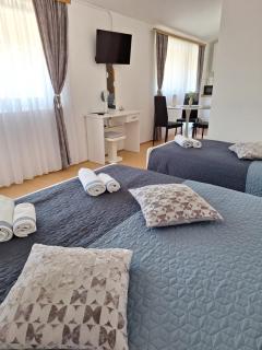 Apartments Kozjan - Karlovac - 9
