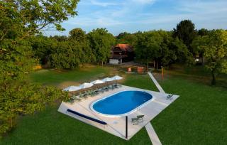 Amazing Home In Gusce With Sauna - 0