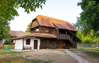 Amazing Home In Gusce With Sauna - Gušće - 9