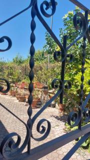 La Finestra sul Velino, uno splendore da vivere - 6