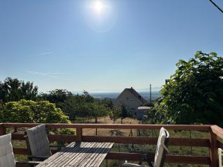 Vines & views - 4