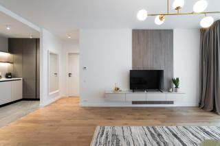 Golden Rose 1 BR APARTMENT in One Cotroceni - Bucharest - 7
