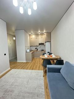 Уютные апартаменты в Жк Dastur - 6