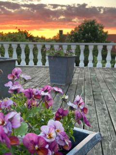 Family-Friendly Villa In Quiet Neighbourhood - 1