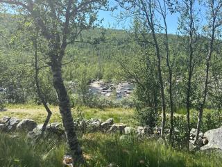 River view - Hovet - 9