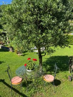 Casa Brencio - Masera - 1