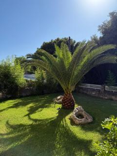 Villa Green Garden - 5