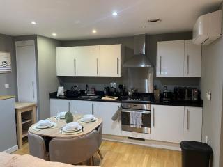 Central Lux Penthouse with Balcony, Terrace & Prking - Bedford - 6